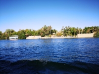 IMG_20250505_094204.jpg