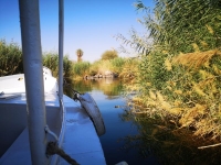 IMG_20250506_095631.jpg