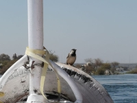 IMG_20250506_102218.jpg