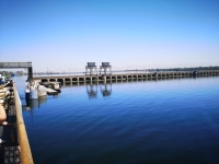 IMG_20250508_111027.jpg