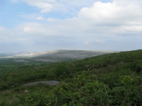 2_01_burren04.jpg