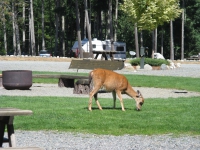 IMG_9483.JPG