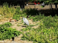 IMG_20250531_114731.jpg
