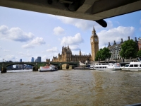 IMG_20250531_123039.jpg
