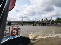 IMG_20250531_124548.jpg