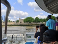 IMG_20250531_130653.jpg