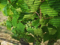 20260727_111851.jpg